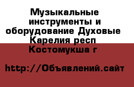 Музыкальные инструменты и оборудование Духовые. Карелия респ.,Костомукша г.